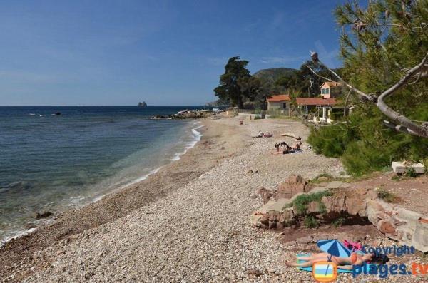 Loft Climatise "La Pinede", 50 M2, Tres Calme, 5 Mn A Pied Des Plages, Lit King Size La Seyne-sur-Mer Exterior photo